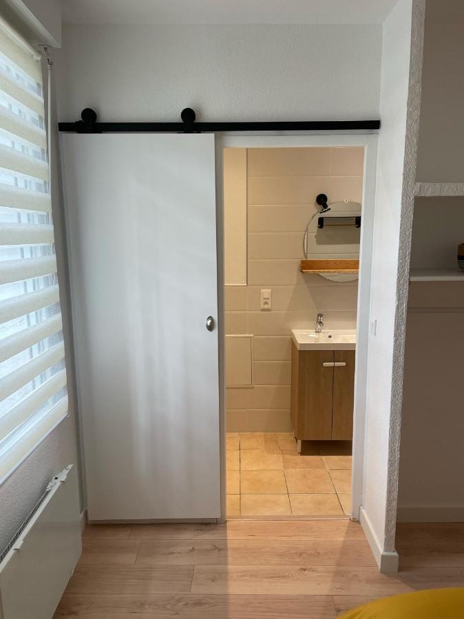 Appart Avec Chambre Lumineux Et Chaleureux Le Boulou Εξωτερικό φωτογραφία